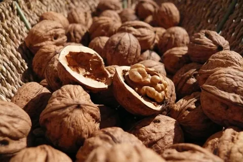 تصویر 5 از قیمت خرید مغز گردو فسنجانی + فروش ویژه